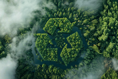 Recycling_and_forest
